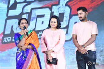 Naa Peru Surya Naa Illu India Pre Release Event Photos
